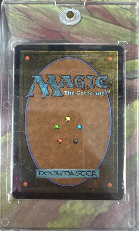 The Fifth Doctor (Serial Numbered)