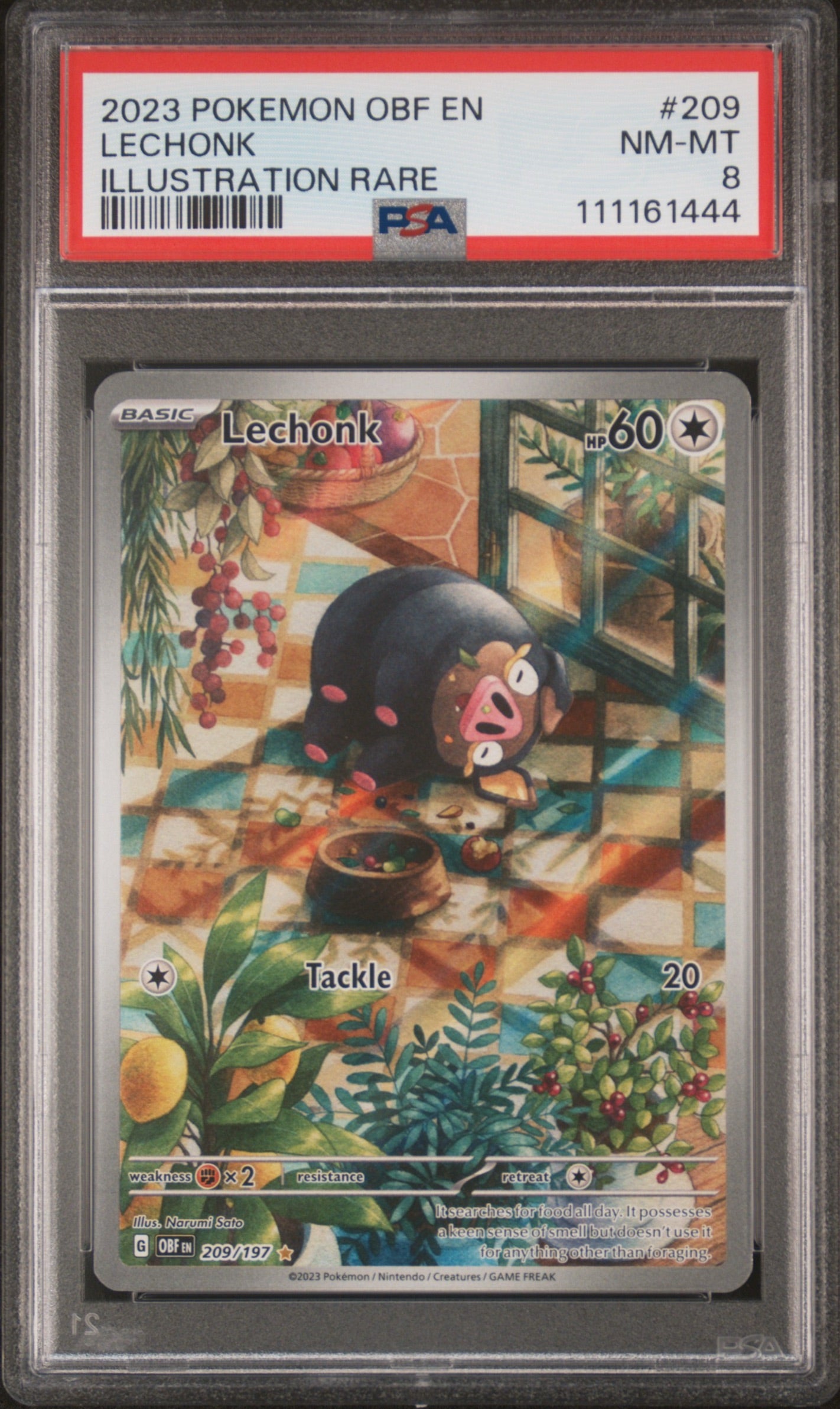 2023 POKEMON OBF EN-OBSIDIAN FLAMES #209 LECHONK ILLUSTRATION RARE PSA 8