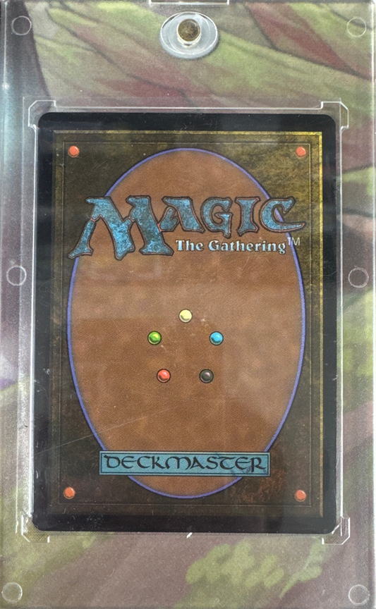 Lutri, the Spellchaser (Serial Numbered)