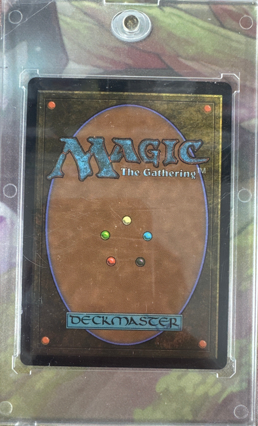 Lutri, the Spellchaser (Serial Numbered)